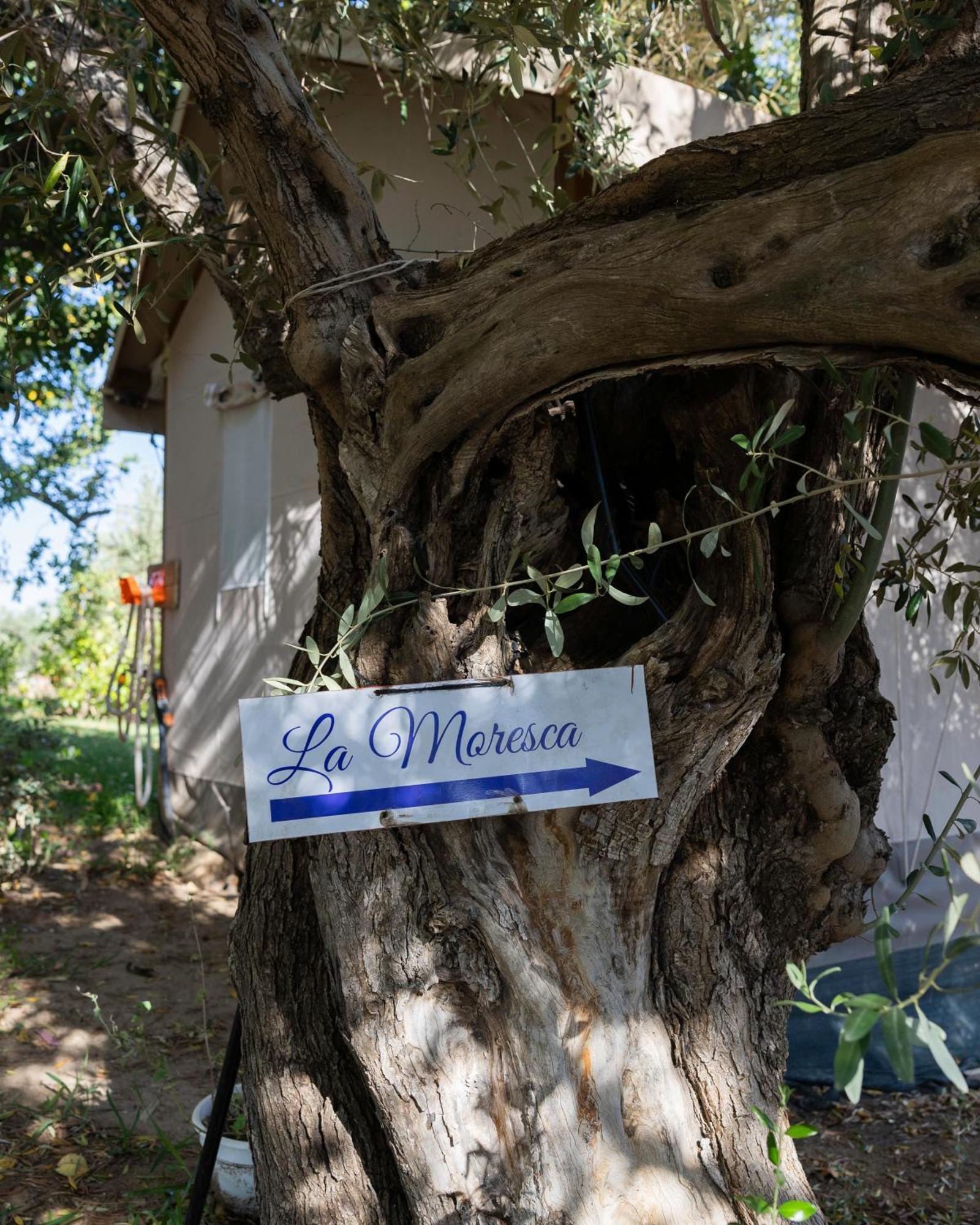Ciriga Sicily Glamping *
